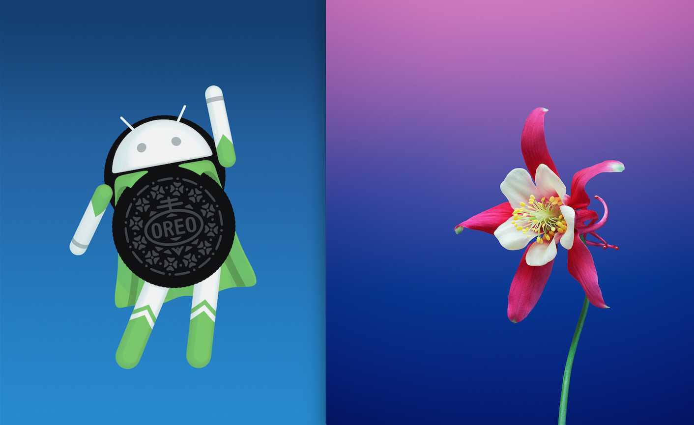 Android Oreo and iOS 11: What's new?
