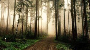 #Connect2Earth for Earth Hour