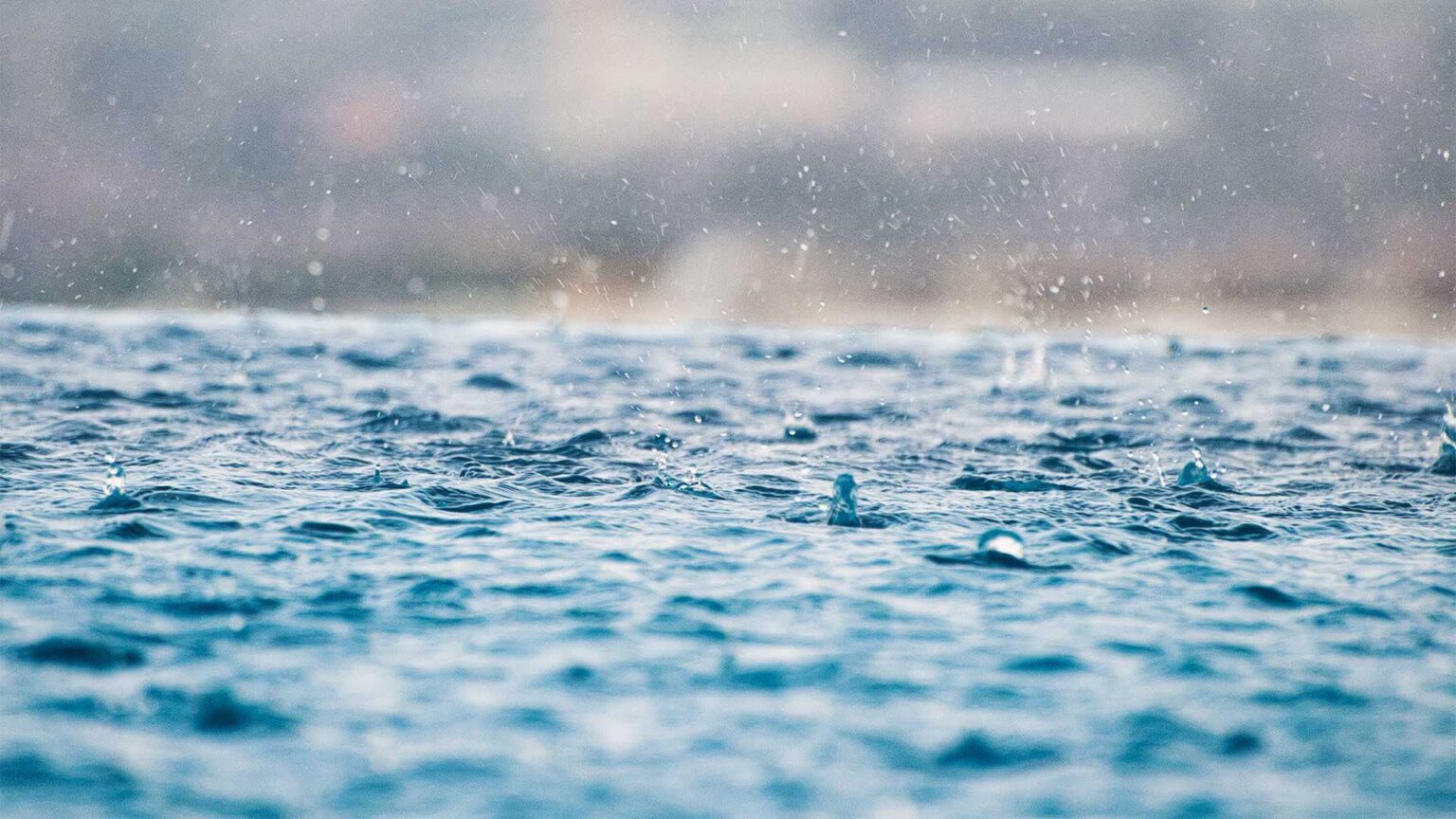 How to be water savvy