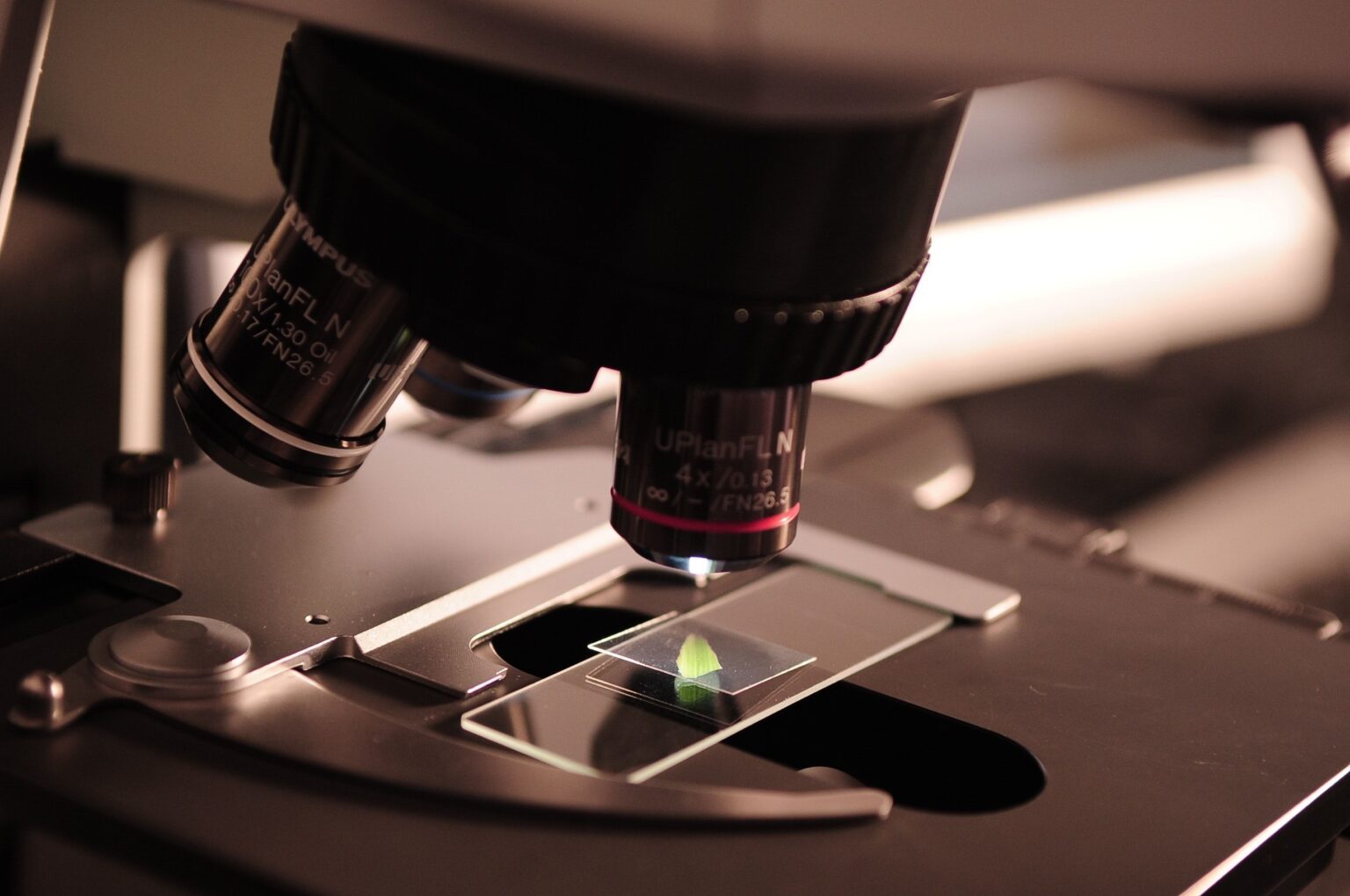 Future medicine: gene editing