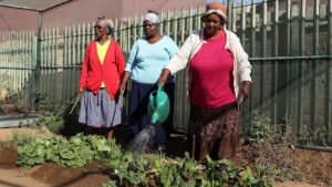 Women who inspire us