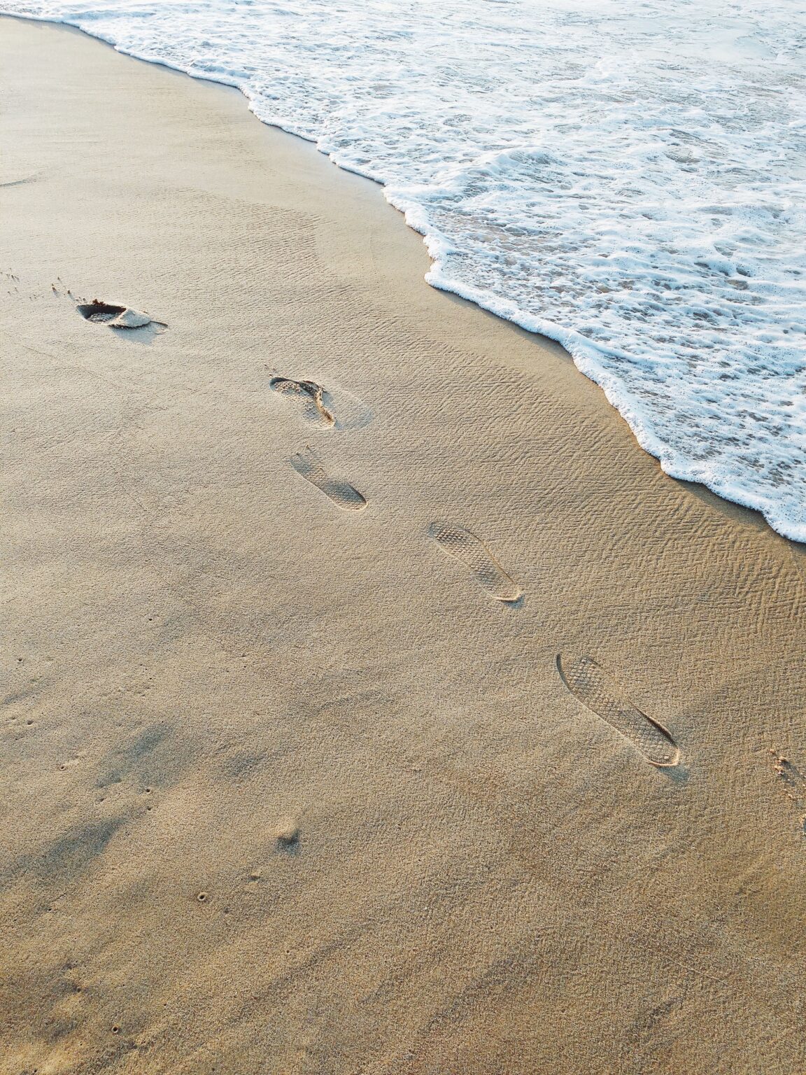 How to reduce your carbon footprint