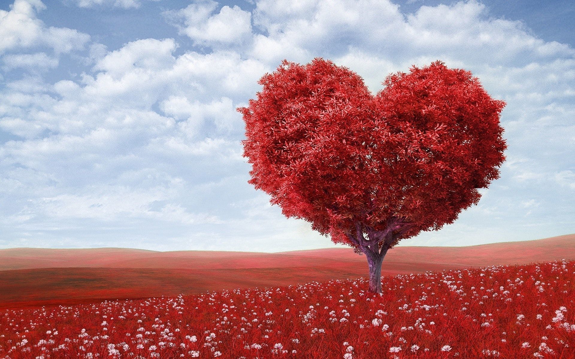 World Blood Donor Day: A Lifesaving Tradition