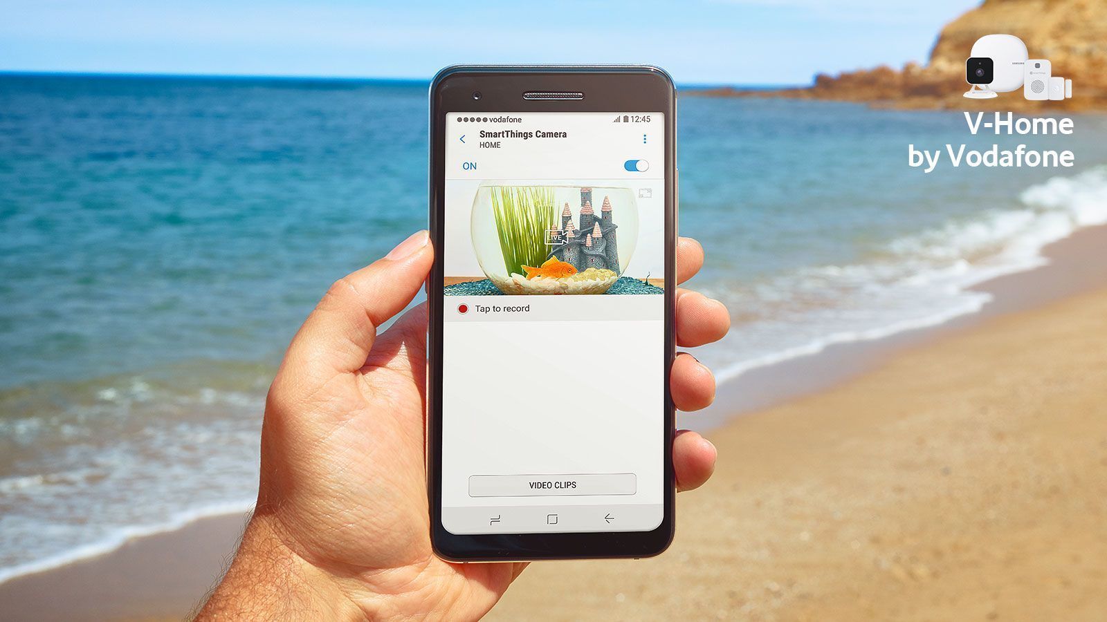 The V-Home experience