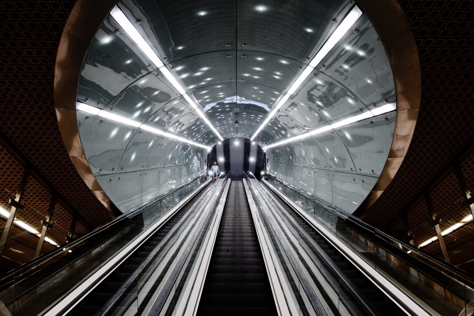 What is your future job?