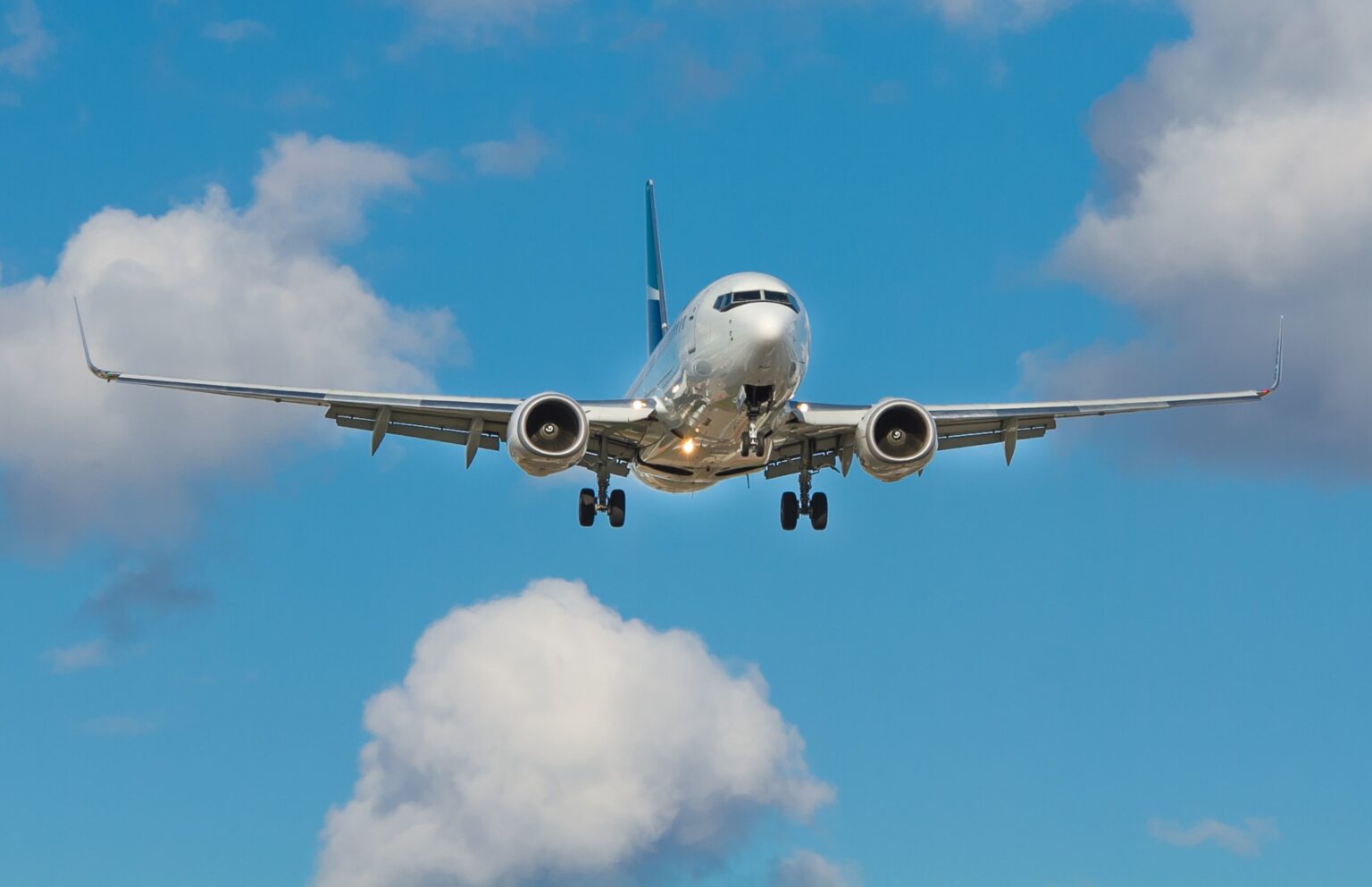 The story of flight