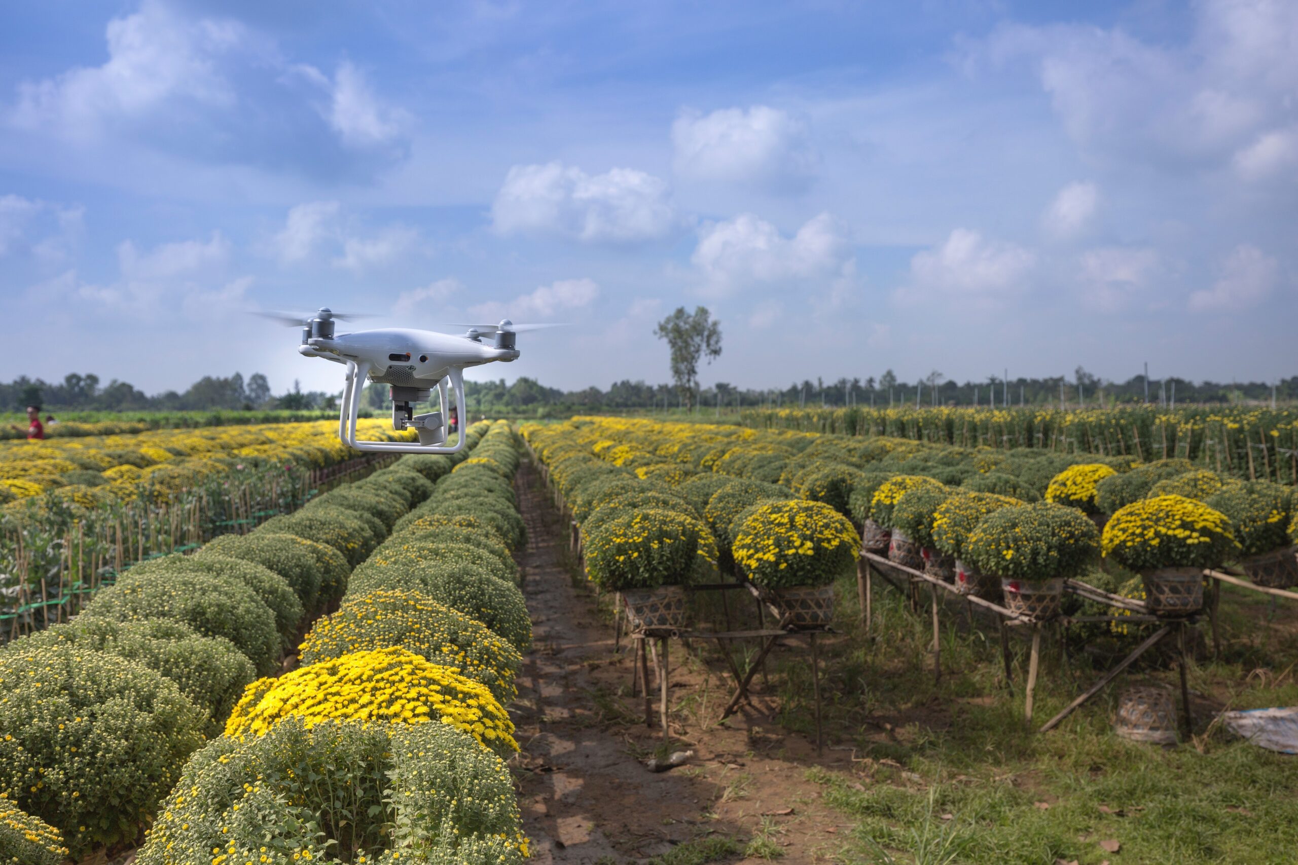 The agriculture revolution is driven by the cloud