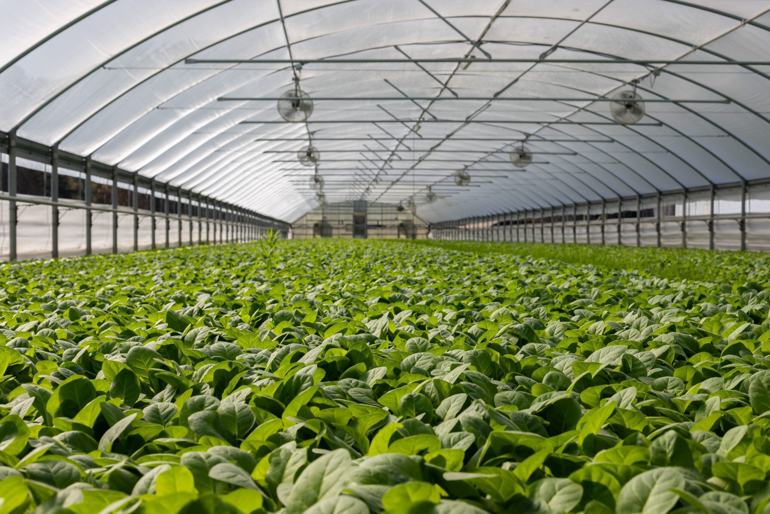 Agriculture Tech: Smart farm sustainability