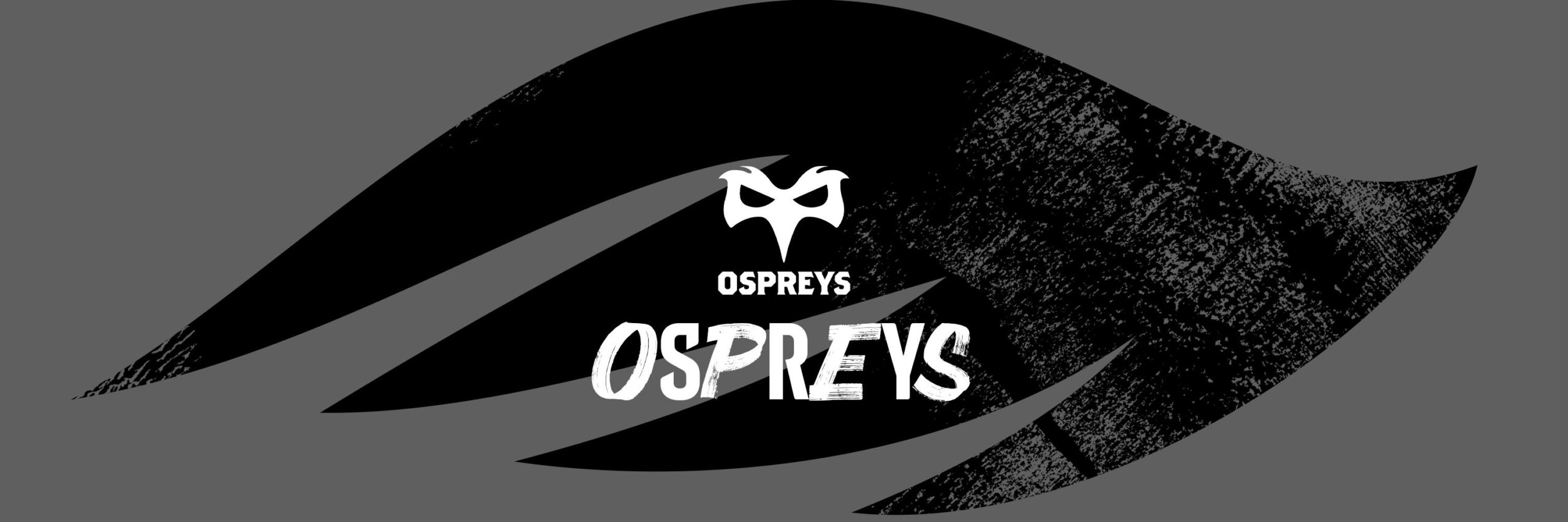 Ospreys