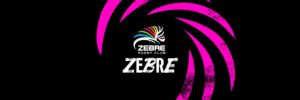 Zebre