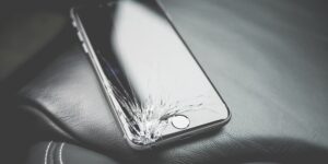 How to Live Sustainably