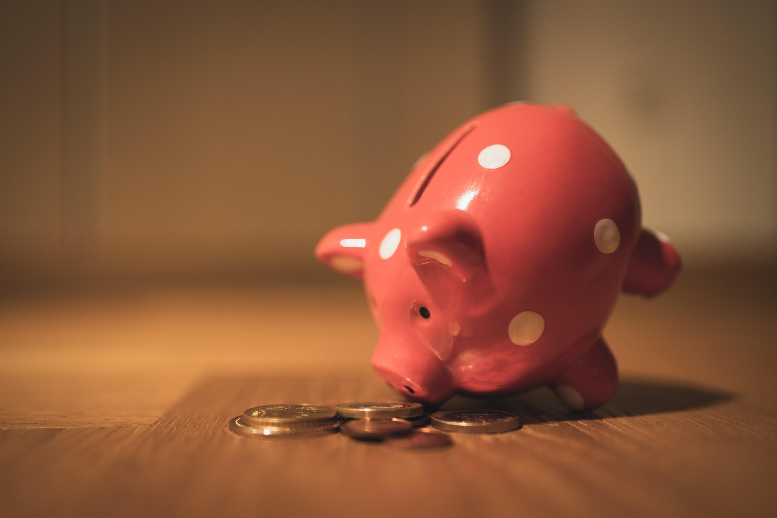 What Does Growth for SMEs In South Africa Look Like?