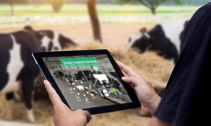 Surprising South African Tech Innovations