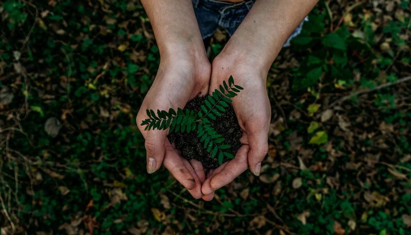 Planting trees for Arbor Week